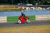 Vintage-motorcycle-club;eventdigitalimages;mallory-park;mallory-park-trackday-photographs;no-limits-trackdays;peter-wileman-photography;trackday-digital-images;trackday-photos;vmcc-festival-1000-bikes-photographs